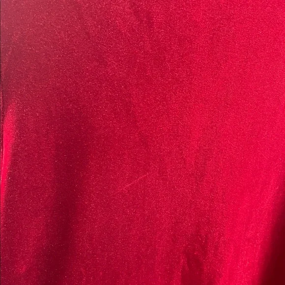 Torn by Ronny Kobo Crimson Velvet Blouse - Picture 10 of 13